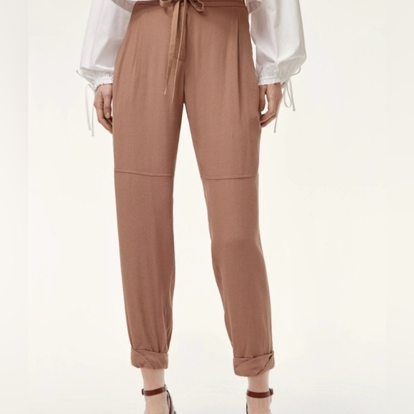 Wilfred Brown Ankle Pants - Picture 3 of 6